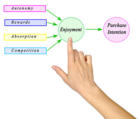 Factors leading to Purchase Intention
