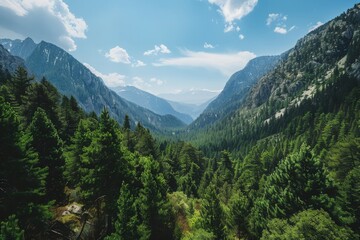 Fototapeta premium Panoramic view of a mountain valley
