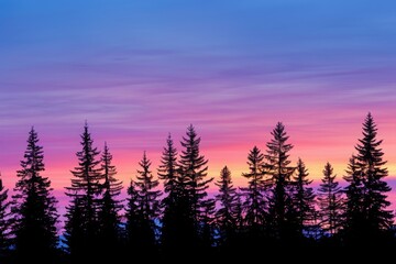 Twilight scene with silhouettes of fir trees against a colorful sky