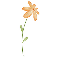 Watercolor orange flower.