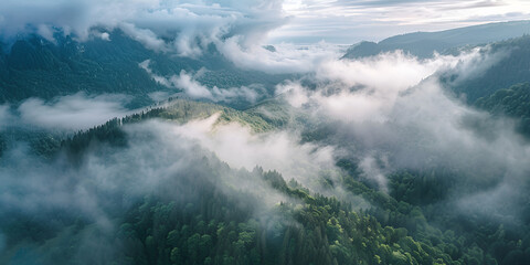  mountains greenery fogs clouds view of the valley in the clouds mountains on the clouds background