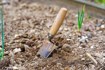High angle view of small shovel gardening tool at vegetable bed of home garden at Swiss City of Zürich on a cloudy spring morning. Photo taken April 28th, 2024, Zurich, Switzerland.