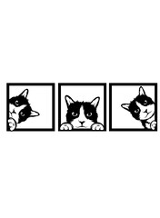 3 Peeking Kittens | Peeking Animal | Cute Cats | Domestic Animal | House Pet | Cat Lover | Pet Shop | Baby Kittens | Original Illustration | Vector and Clipart | Cutfile and Stencil