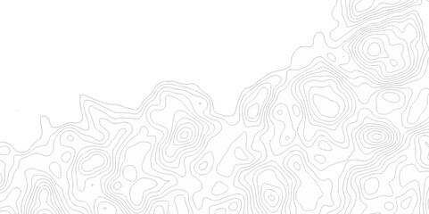 Obraz premium White wave paper curved reliefs abstract background. The topographic map contour in lines isolated. Abstract white topographic map background with lines. Background of the topography map.