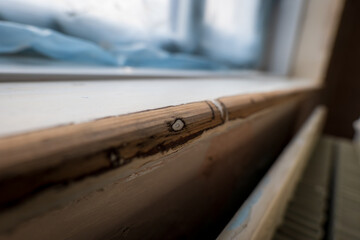 sanded wooden window board closeup during home renovation