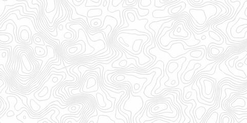 White wave paper curved reliefs abstract background. The topographic map contour in lines isolated. Abstract white topographic map background with lines. Background of the topography map.