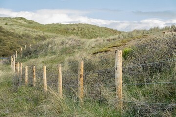 Fototapeta na wymiar dune landscape on the north sea in the netherlands