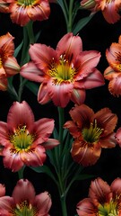 red and yellow lily flowers