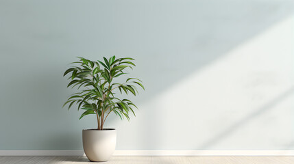 Large green plant in white pot on ledge