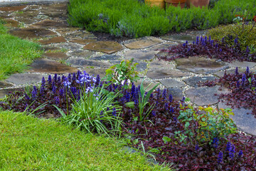 stone paved garden path and flowers - springtime