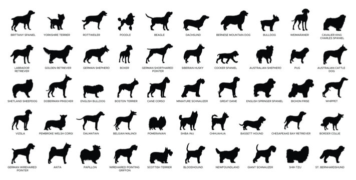 Dog Breeds silhouette set