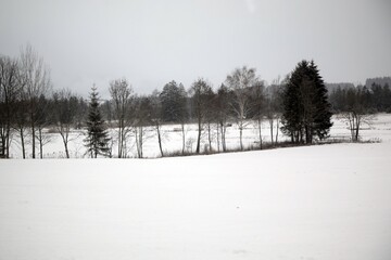 눈 내린 겨울 풍경