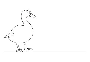 Duck in one continuous line drawing vector illustration. Pro vector
