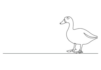 Duck in one continuous line drawing vector illustration. Pro vector