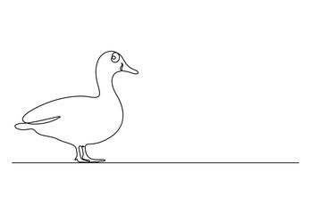 Duck in one continuous line drawing vector illustration. Pro vector