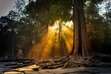 sunrise in Angkor, Cambodia