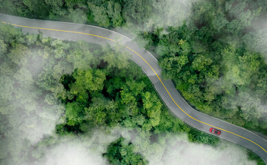 Obraz premium Aerial top view of a red car driving on highway road in green forest. Sustainable transport. Electric vehicle driving on asphalt road through lush green forest. Zero emission car. Green mobility.