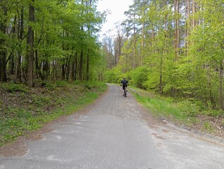 cycling in the woods
