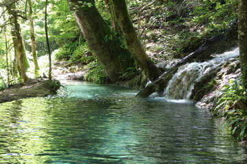 eaux limpides, turquoise, paradis, piscine naturelle, transparence, sauvage, eau, chute d'eau,...