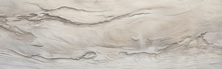 Obraz premium Time-Worn Patina of Old Wood Texture Panoramic