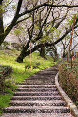 Mitoyo, Kagawa, Japan - April 9 2024 : Stone stairs of Asahiyama Shinrin Park ( Mt. Asahi Forest...