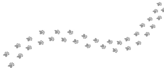 Grey paw foot trail print of dog. Vector Illustration. © Thongchai Jindaphant