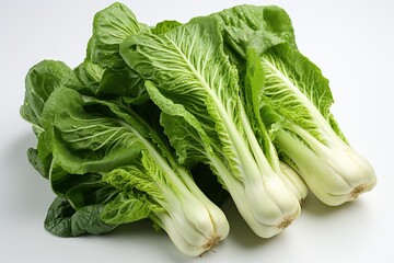 Heads of Beijing cabbage isolated on a white, agricultural crops.