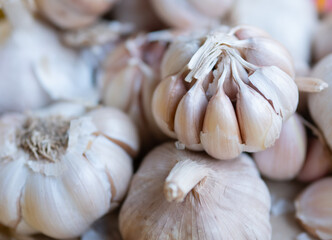garlic on the table