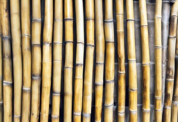 Fototapeta premium 'Structure bamboo Feb house Indonesia Bogor Background Pattern Abstract Texture Design Nature Vintage Wood Wall Wallpaper Tropical Asian Old Natural Organic Wooden Decoration Decor'