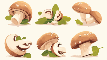 Appetizing raw edible mushrooms vector graphic illu