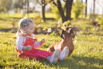 little girl with her dachshund dog in the summer garden
