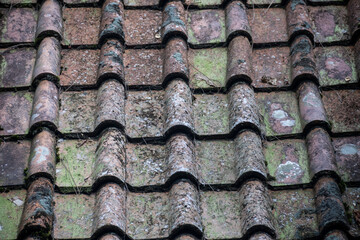 A close-up of mossy old roof tiles. Background concept. Text copy space