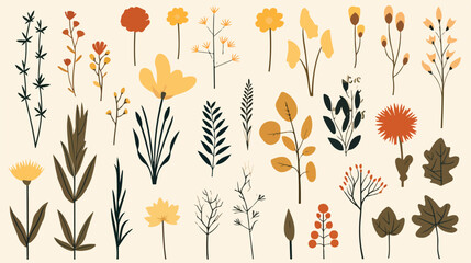 Autumn flowers floral card design. Fall herbs herba