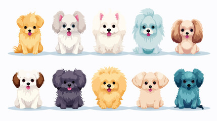 Cute Toy Poodles puppies friends. Fluffy little min