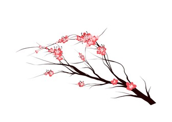 spring mood ,  Sakura flowers ,draw illustration 