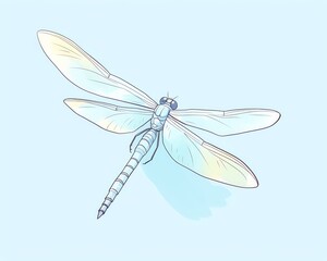 dragonfly, agile dragonfly