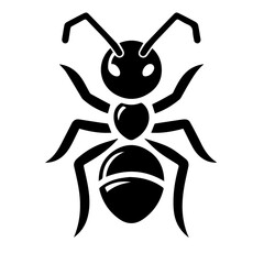 ant on a white background