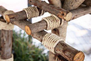 The hemp rope used to tie logs creates a support for the tree.