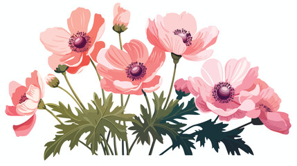 Beautiful Anemone blossoming flowers and leaves iso