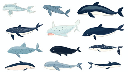 Different whale set. Hand drawn doodle illustration