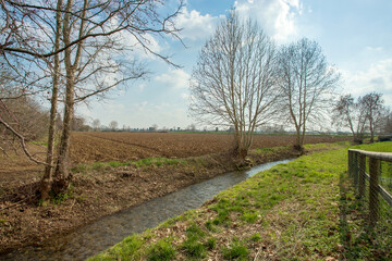 Plowed agricultural field