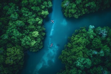 Aerial view of a lone kayaker navigating through the tranquil waters amidst the lush greenery of a dense, enchanted forest - obrazy, fototapety, plakaty