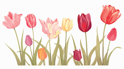 Beautiful tulip flowers hand drawn with contour lin