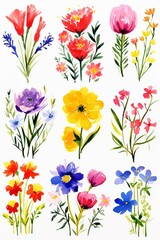 summer flowers watercolor, colorful summer flowers watercolor