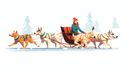 Dogs running in harnesses people in sled sleigh. Ri