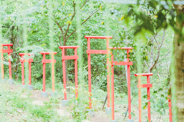 Fototapeta premium 熱海の山の上の神社