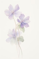 watercolor violets, subtle watercolor violets