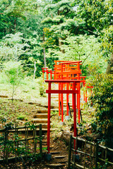 熱海の山の上の神社