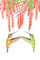 Flying humming birds and red flowers, AI generative fill