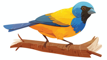 Blue-headed tanager. Tropical bird with colorful pl